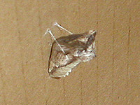 アゲハ蝶の蛹２